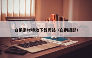 和县白鹅素材特效下载网站（白鹅摄影）
